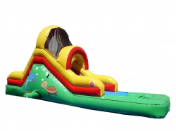 Tots Water Slide